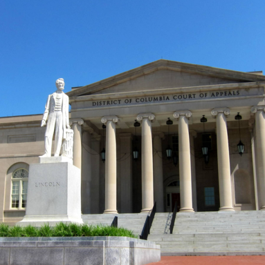 Dc court of clearance appeals opinions